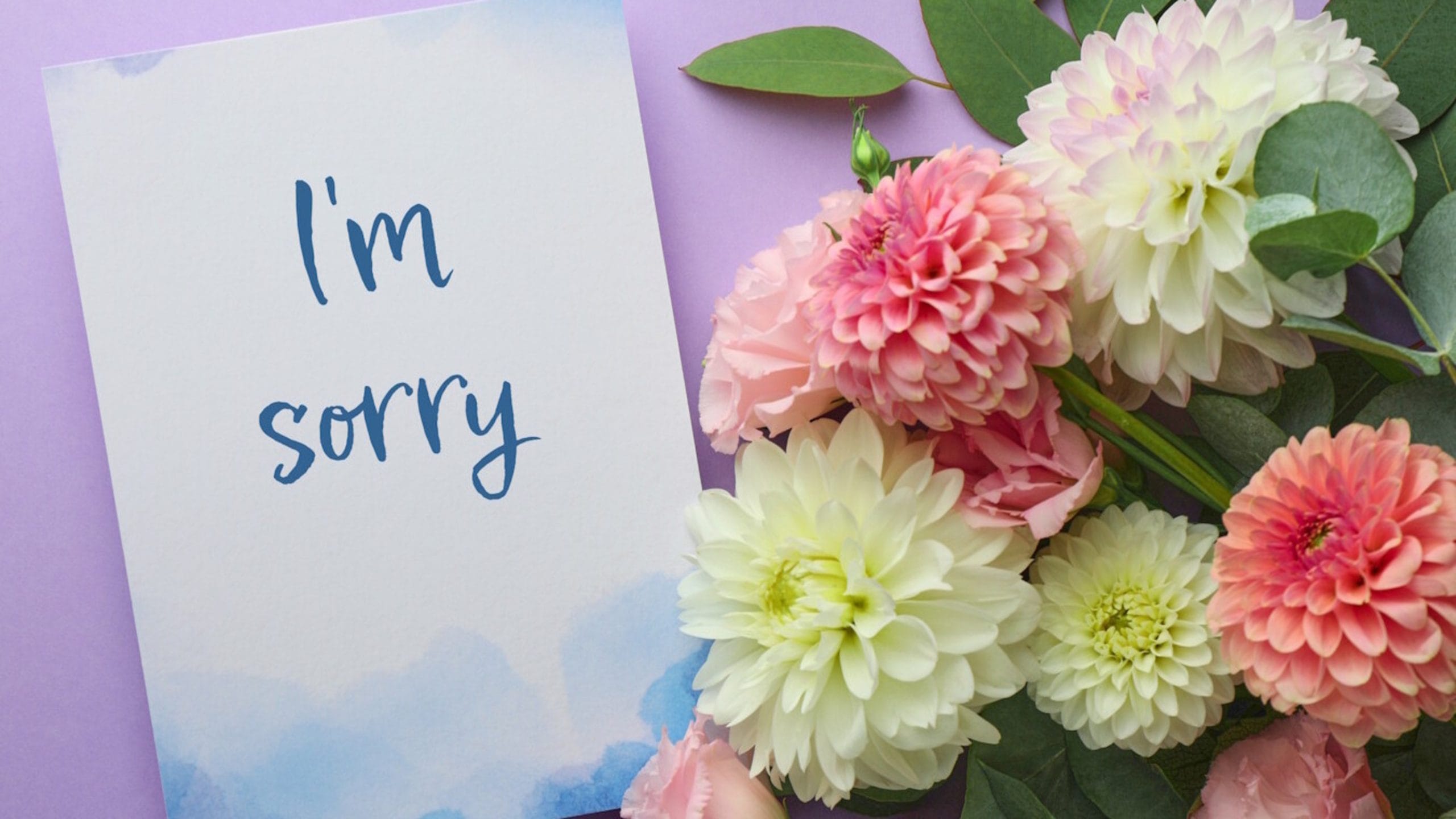 Purple background with some flowers to the right and a card that says "I'm sorry"